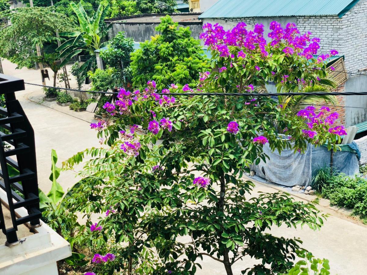 Ninh Binh Brother'S Homestay Exterior foto