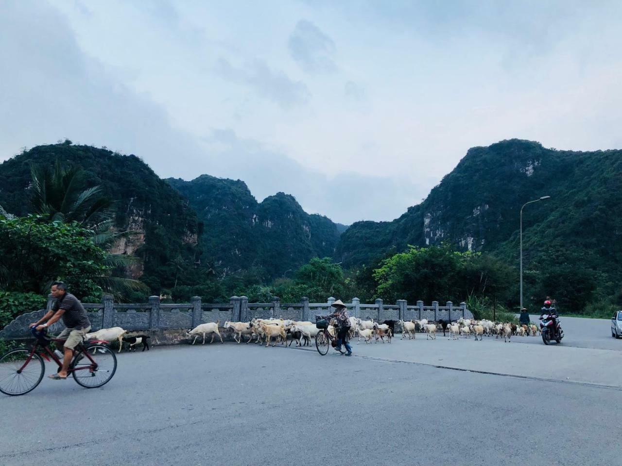 Ninh Binh Brother'S Homestay Exterior foto